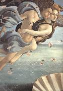 Sandro Botticelli The Birth of Venus USA oil painting reproduction